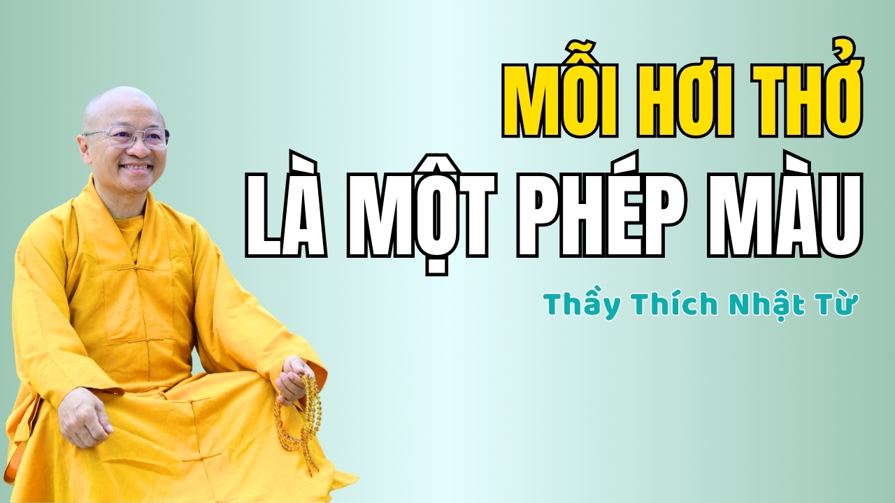 Khám phá sức mạnh hơi thở qua pháp ngữ Thầy Thích Nhật Từ cho tâm an